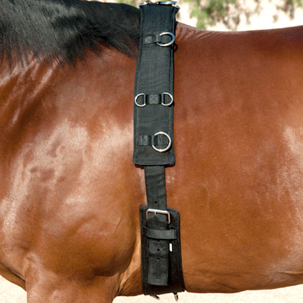 training equipment lunging